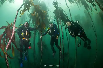 Pisces Divers - Scuba Diving