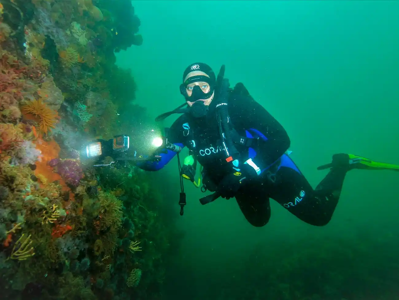 Scuba Diving in False Bay