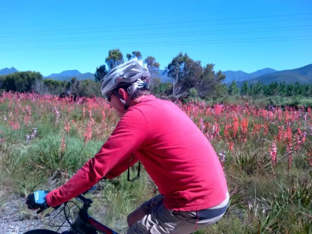 Mountain Biking in Plettenberg Bay