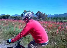 Mountain Biking