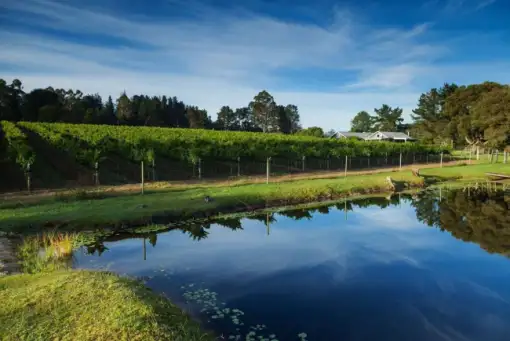 The Plett Trail - Slackpacking