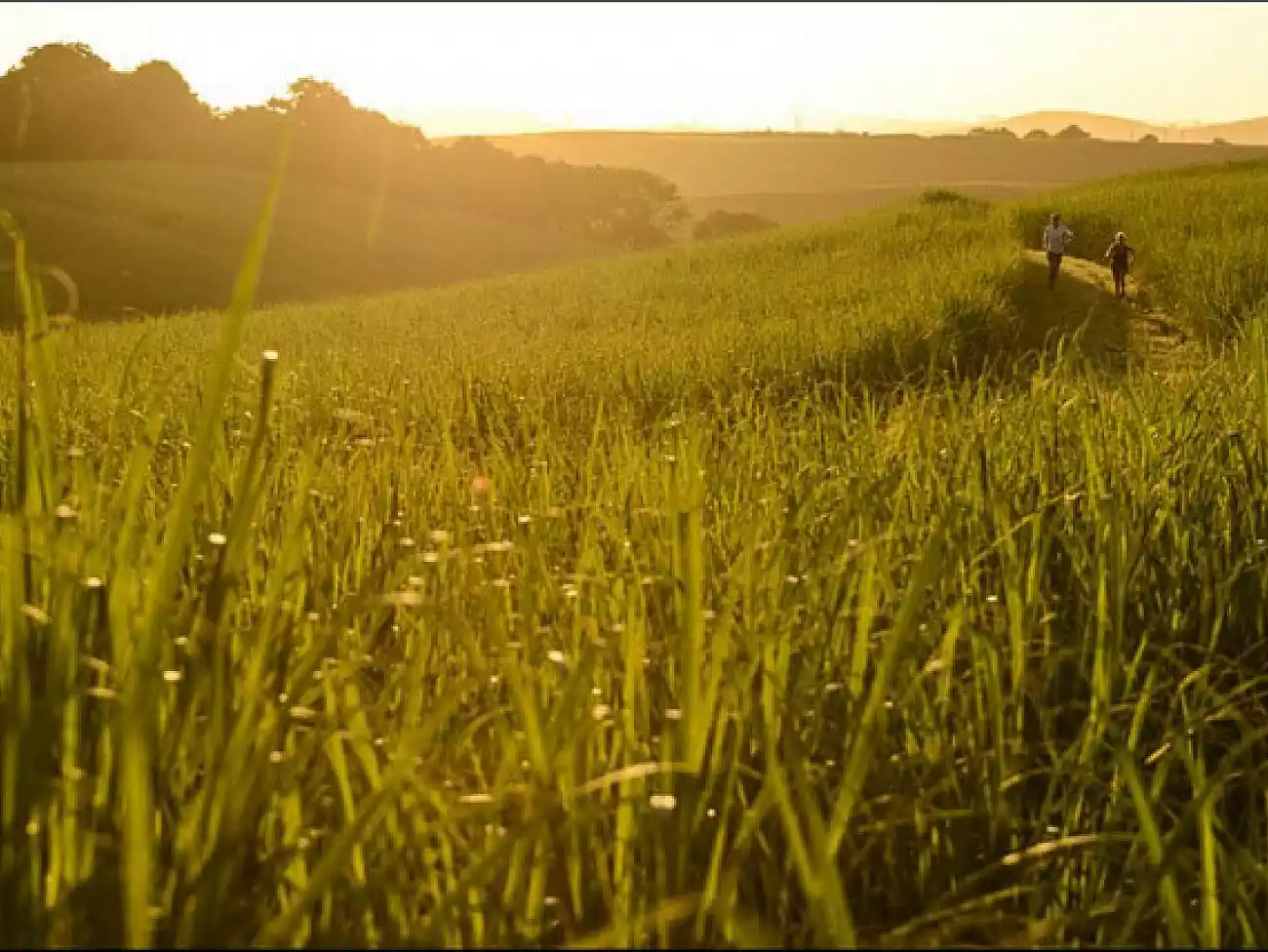 Hiking in Port Edward