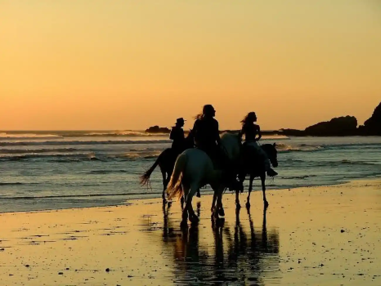 Beach Horse Rides in Port Edward