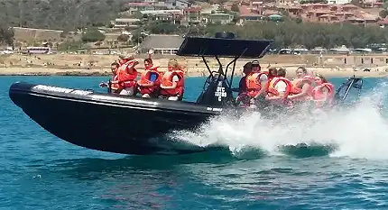 Mossel Bay Boat Adventures - Power Boating