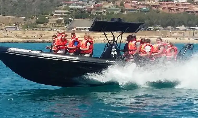 Mossel Bay Boat Adventures - Power Boating