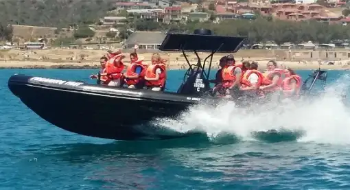 Mossel Bay Boat Adventures - Power Boating