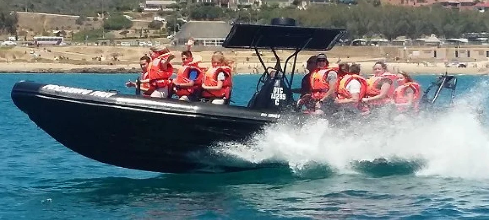 Mossel Bay Boat Adventures - Power Boating