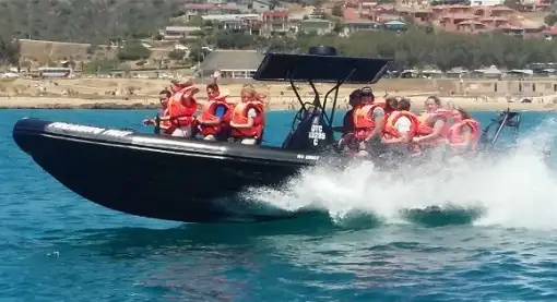 Mossel Bay Boat Adventures - Power Boating