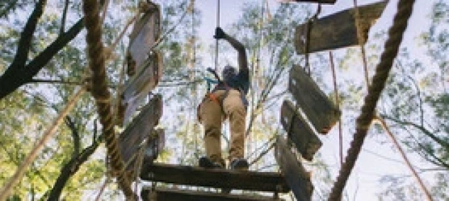 {def_description_image_text}