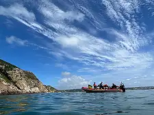 Seal Viewing Trips