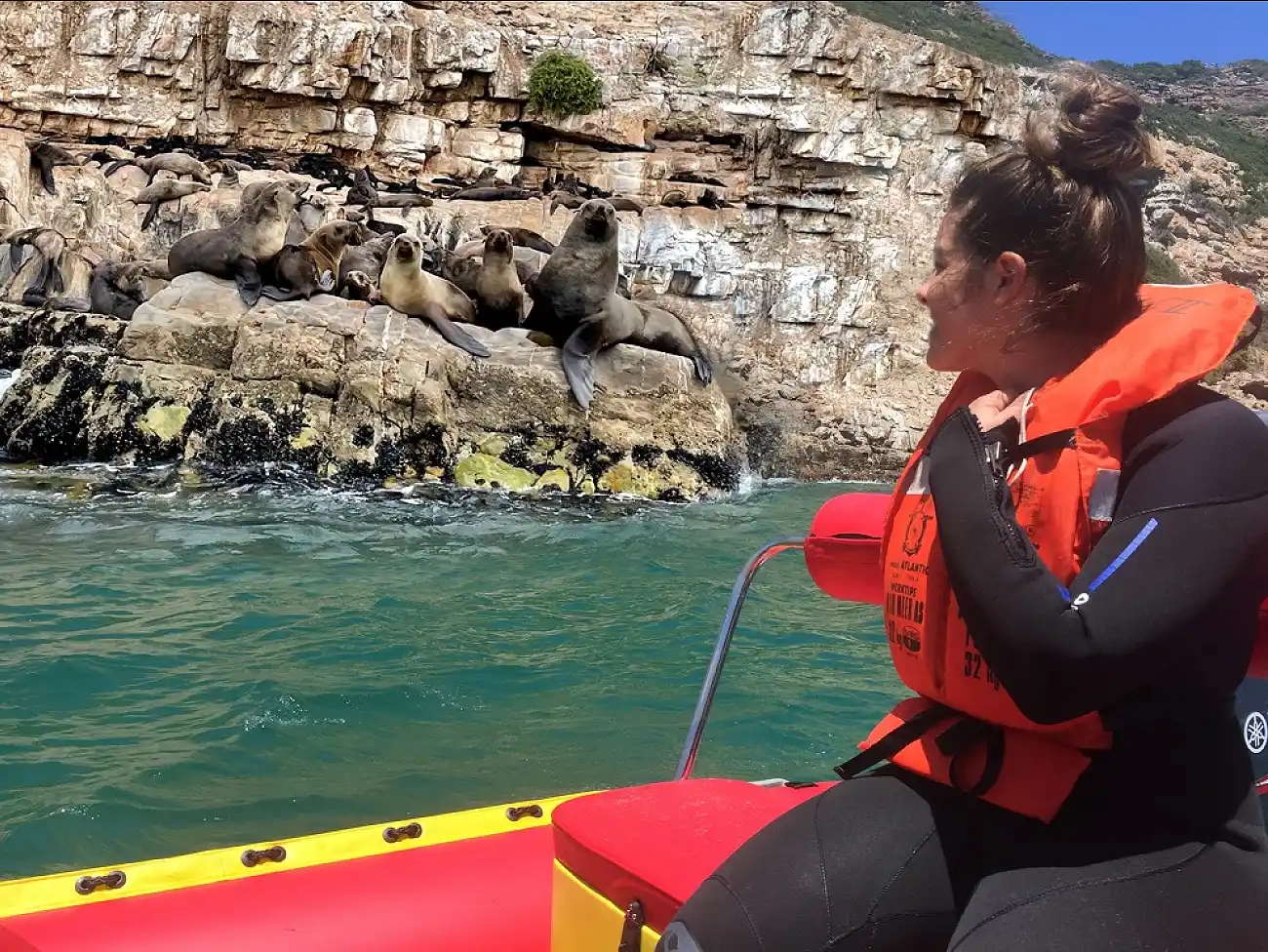 Seal Snorkelling in Plettenberg Bay 