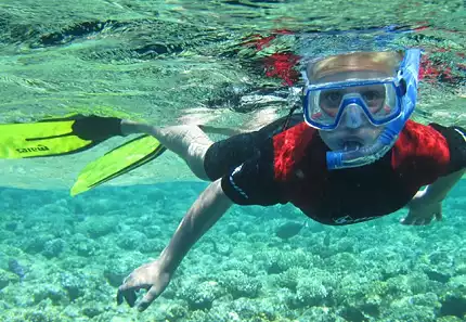 ProDive Plett - Snorkeling