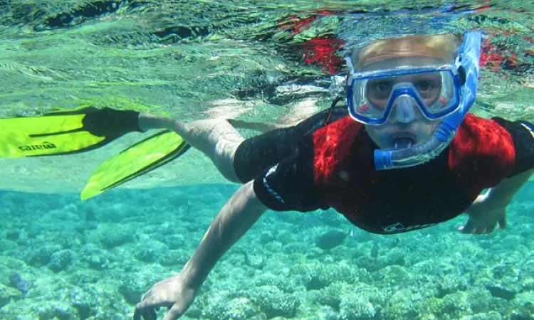ProDive Plett - Snorkeling