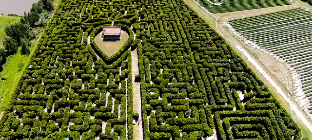 Redberry Farm Maze