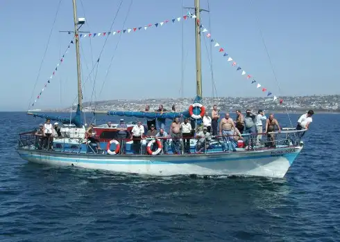 Boat Trips