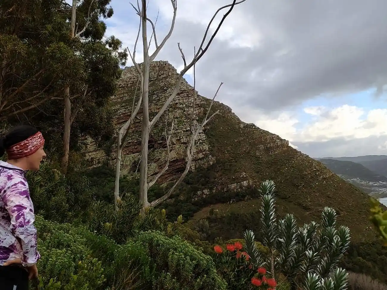 Running Tours in Cape Winelands 