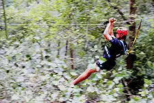 Zip Line