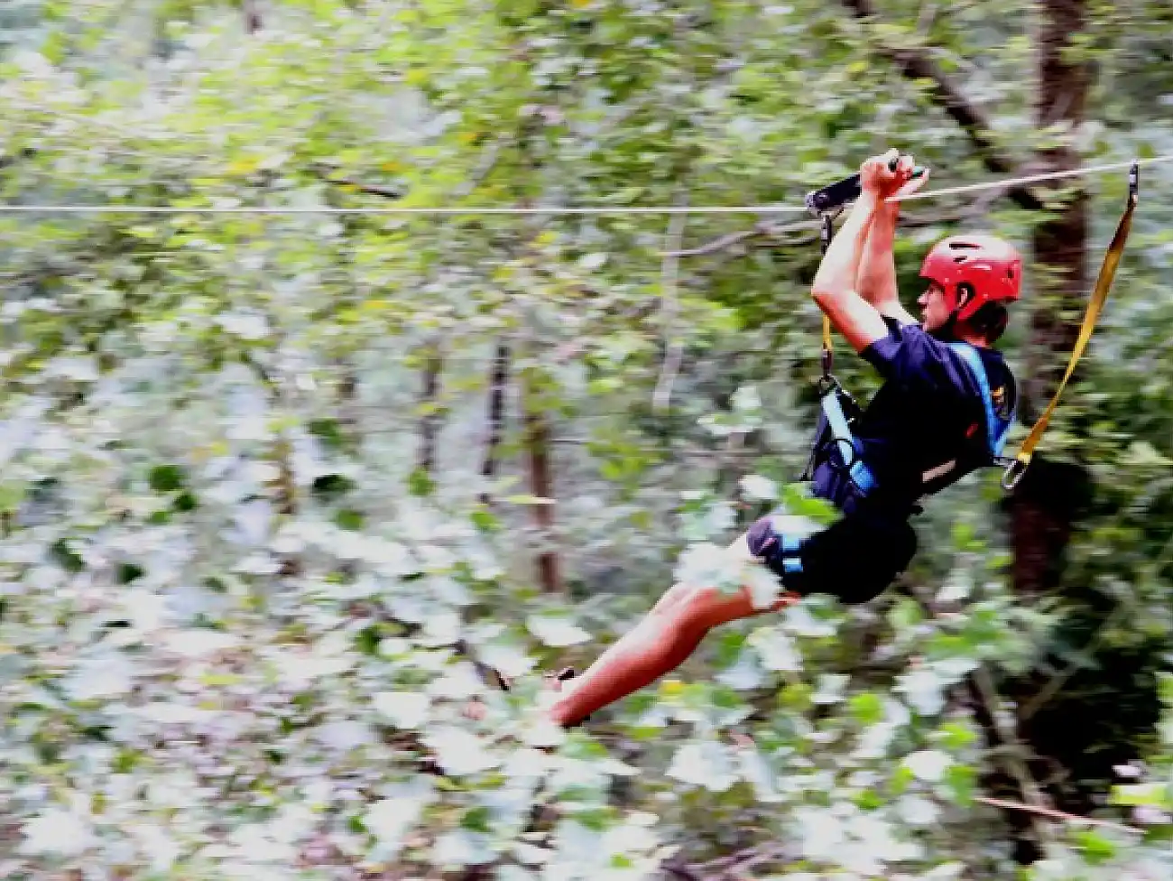 Zip Lining in Walker Bay