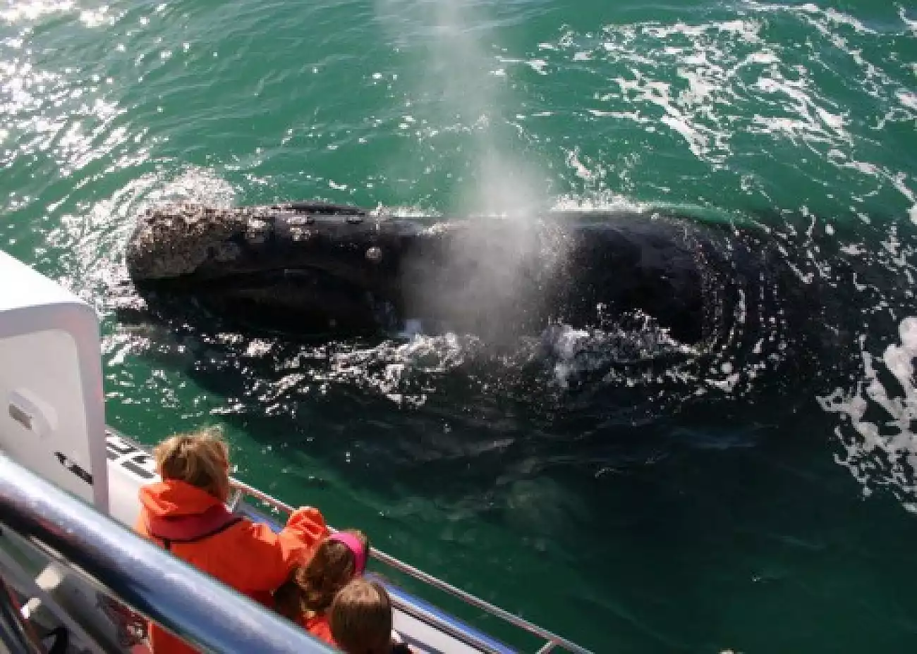 {def_description_image_text}