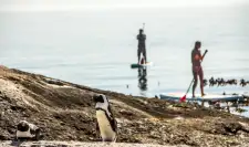 Stand up paddleboarding