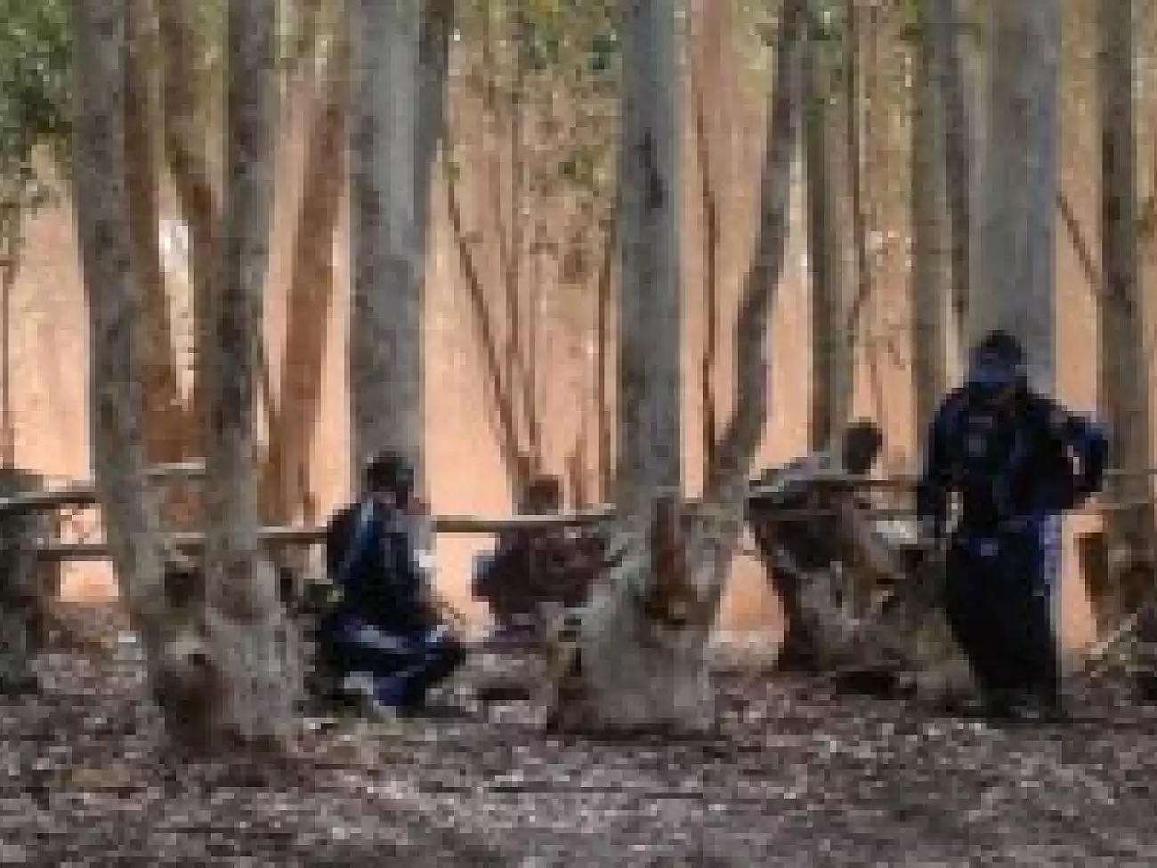 Paintball in the Overberg