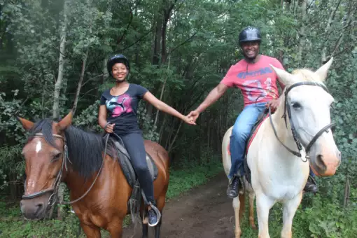 Saddle Creek Adventures - Horse Riding