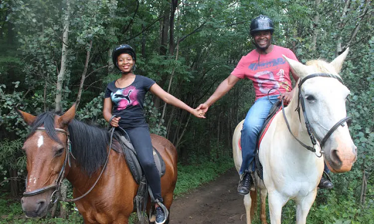 Saddle Creek Adventures - Horse Riding