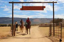 Horse Riding
