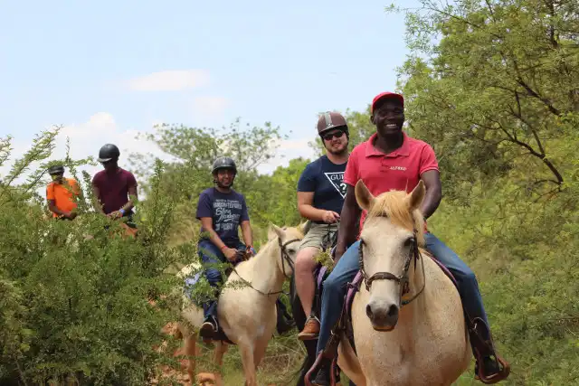 Horse Riding