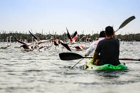 Safari and Surf Adventures - Kayaking
