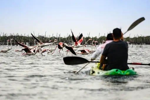 Safari and Surf Adventures - Kayaking