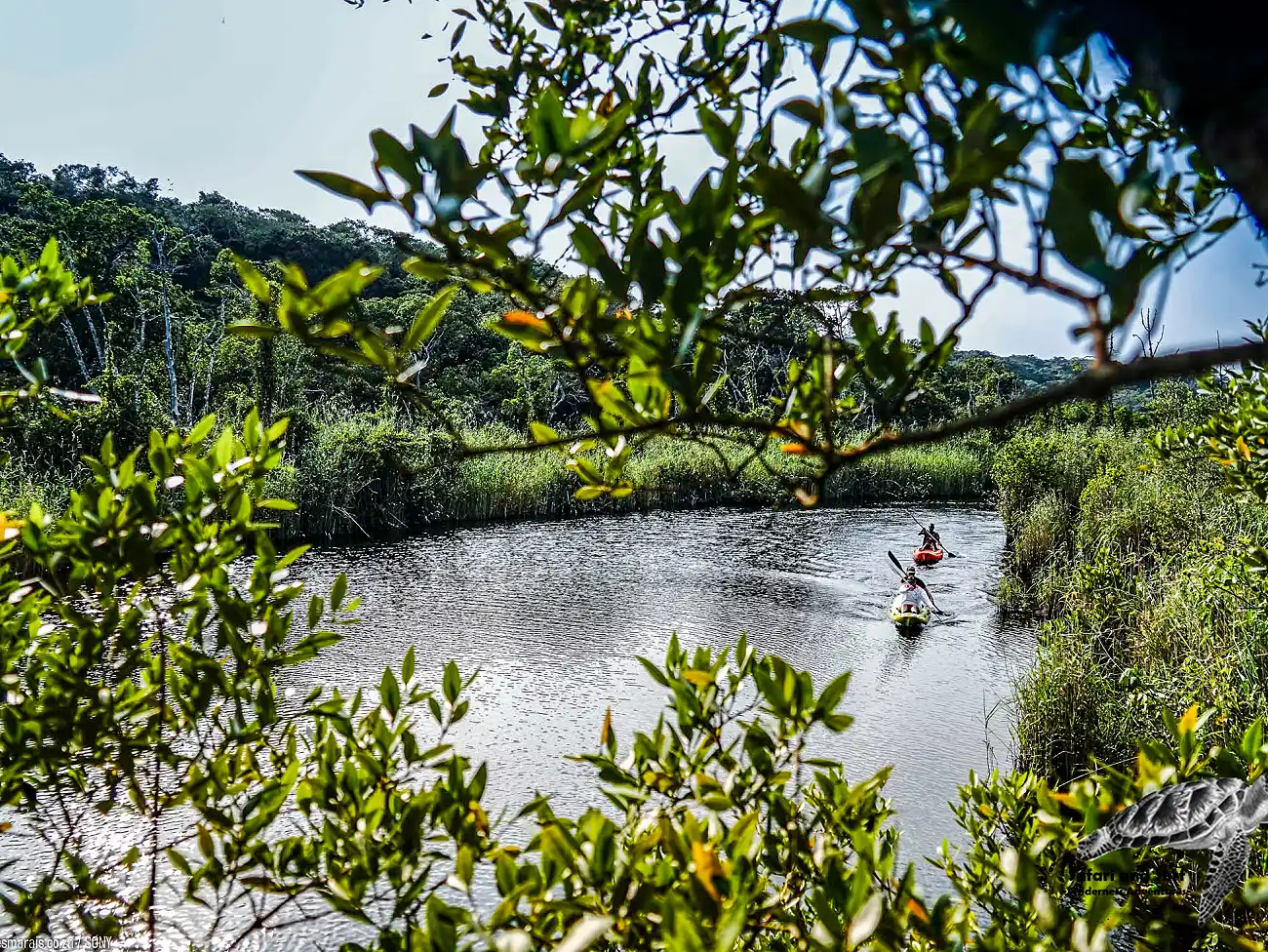 Kayaking in the iSimangaliso Wetland Park