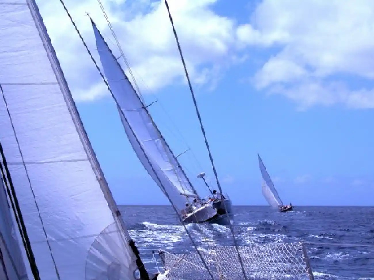 Sailing Charters on the West Coast