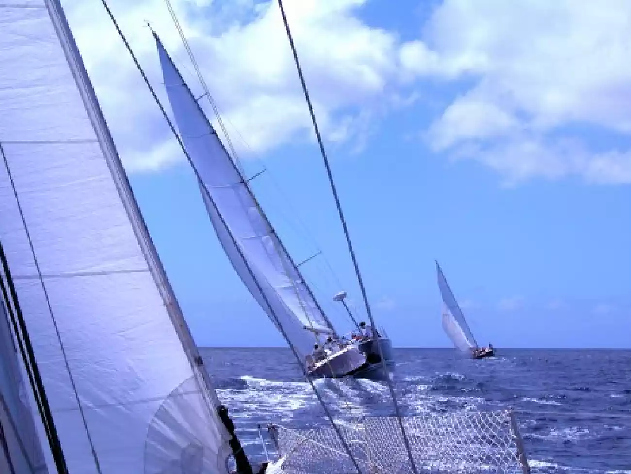 Sailing Charters on the West Coast