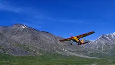 Scenic Flights