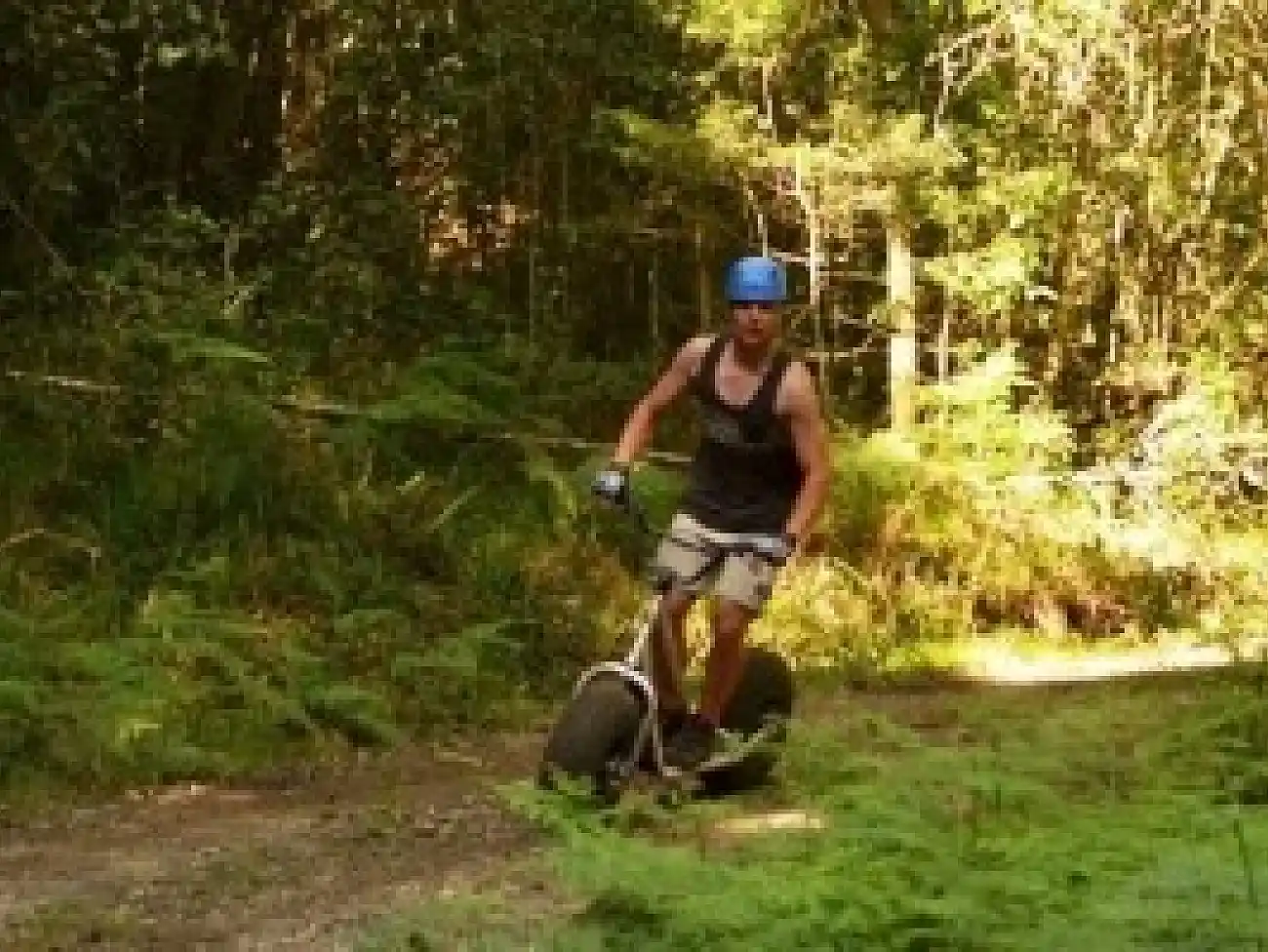 Scootours on the Garden Route