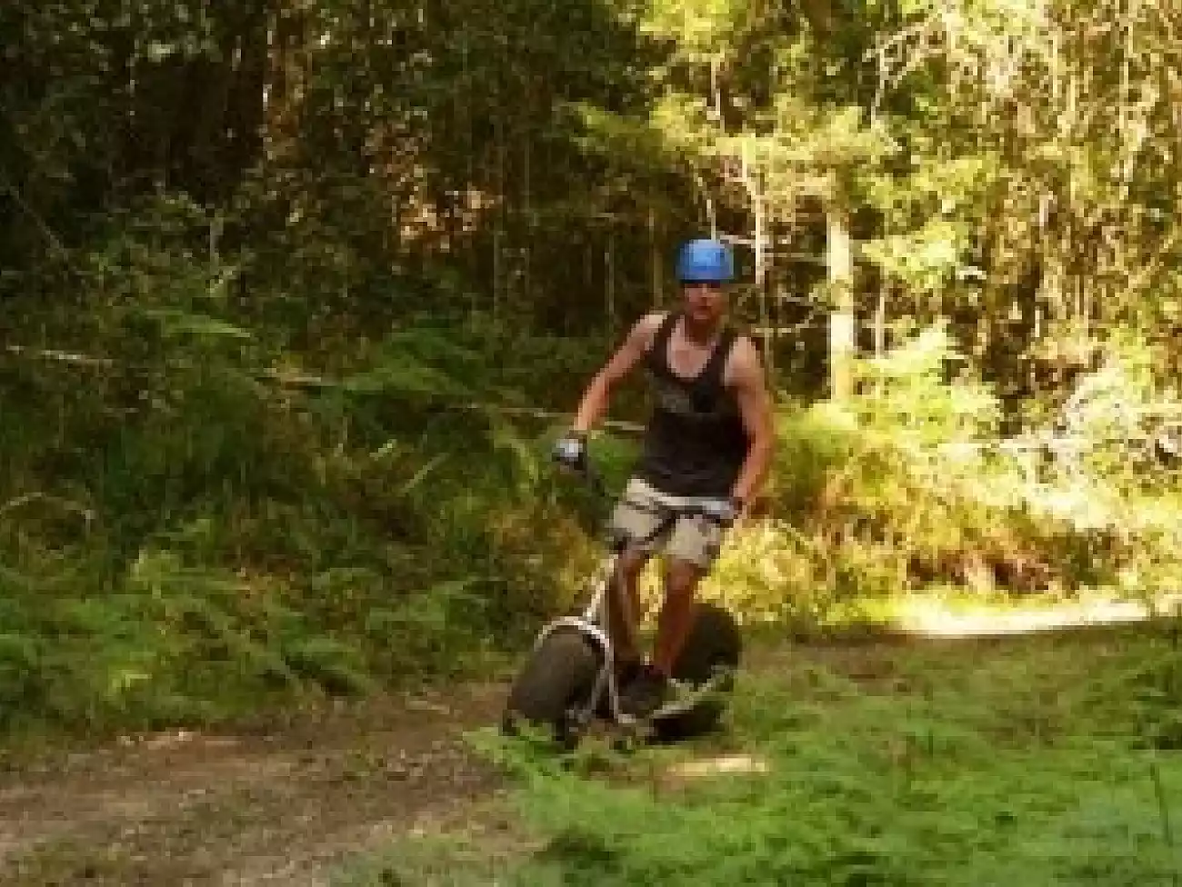 Scootours on the Garden Route