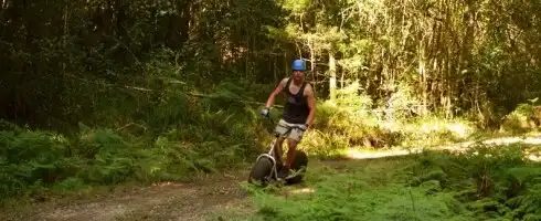 Scootours