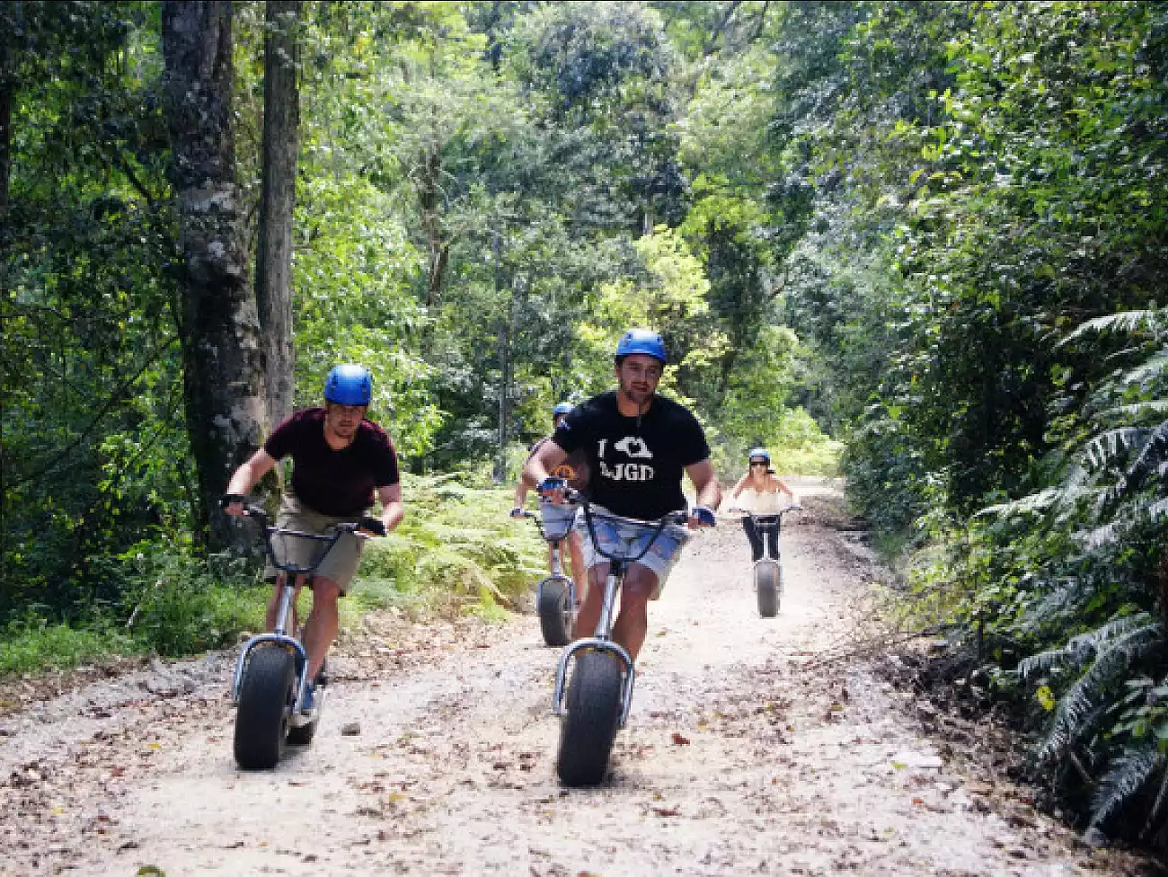Scootours in the Outeniqua Mountains