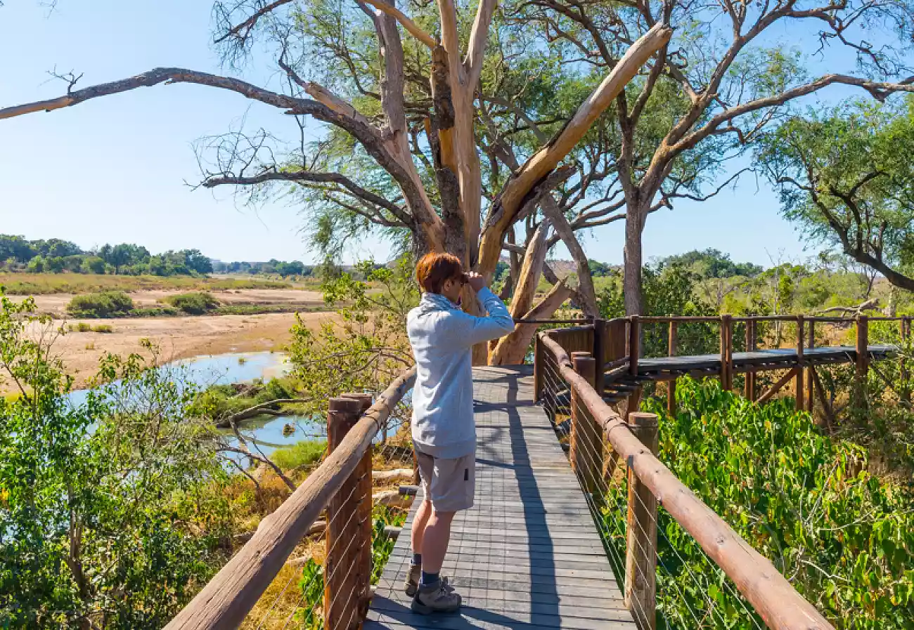 7 Day Luxury Cape Town to Kruger Park Adventure - South Africa