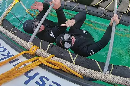 Wild Horizons Adventures - Shark Cage Diving