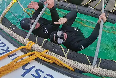 Wild Horizons Adventures - Shark Cage Diving