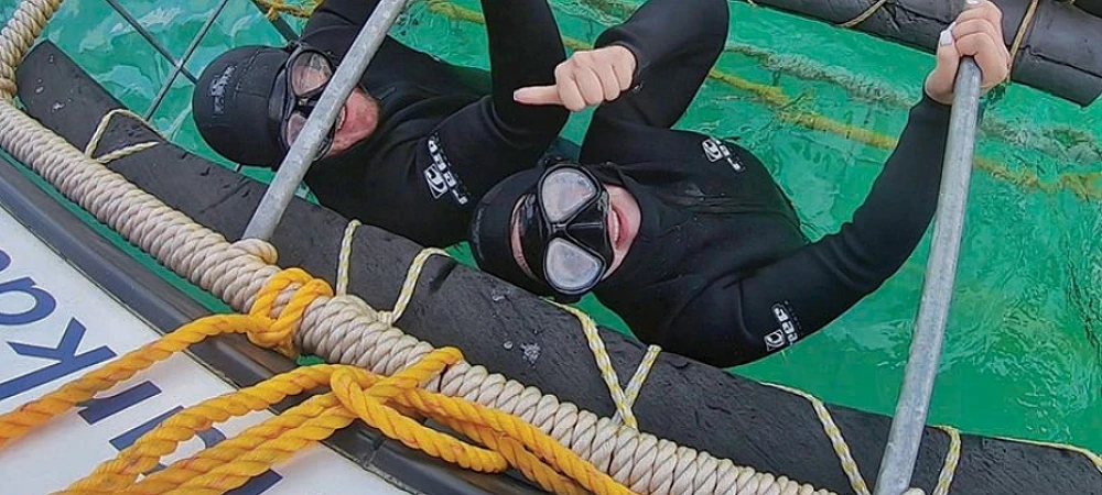 Wild Horizons Adventures - Shark Cage Diving