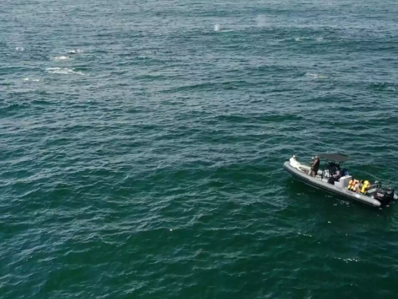 Boat Trips In Yzerfontein