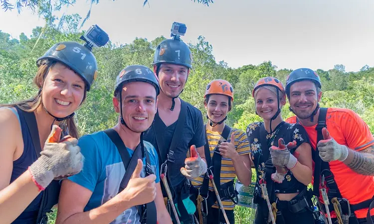 Cape Canopy Tour - Team Building