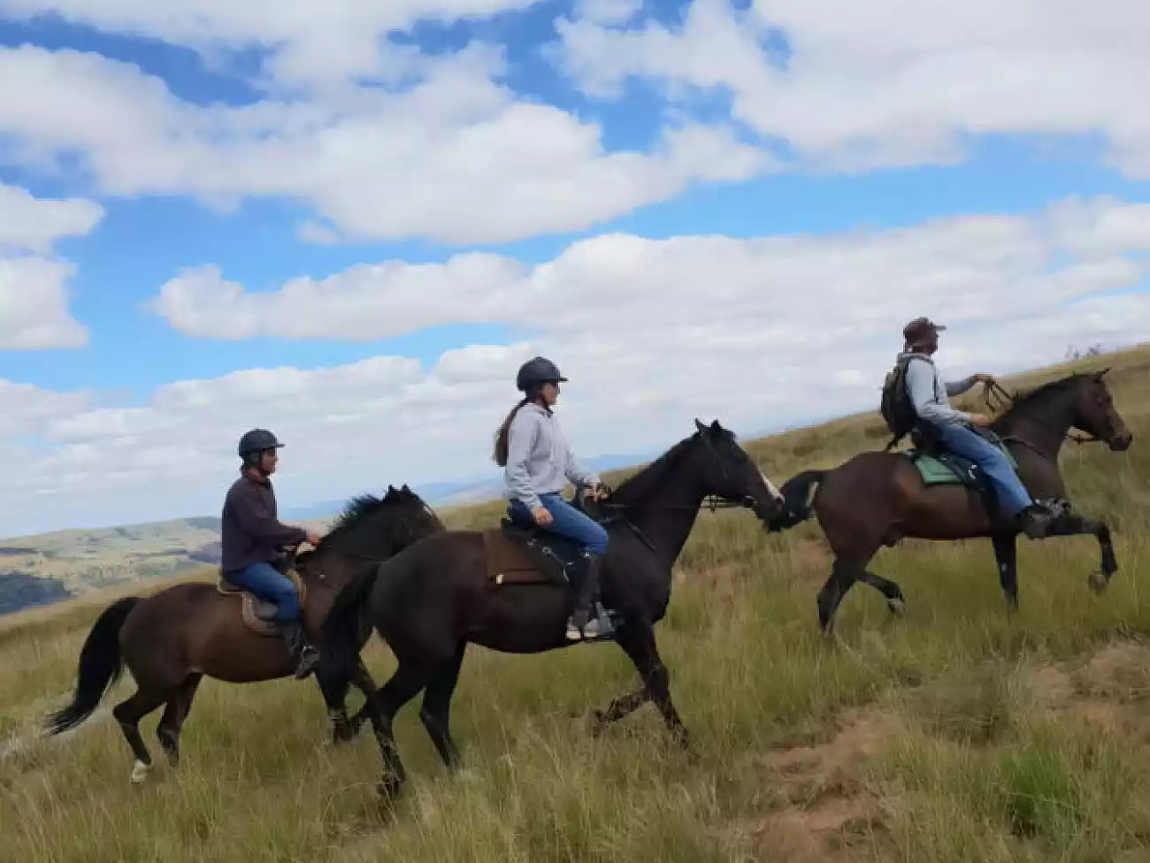 Horse Riding in Bergville