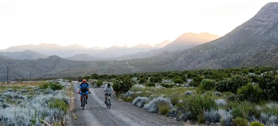 Cycle Tours