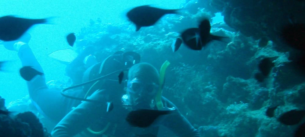 Scuba diver underwater surrounded by a school of tropical fish in clear blue water