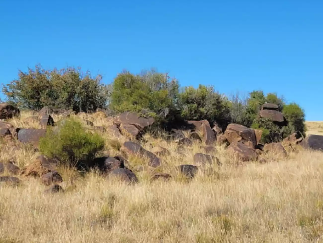 Slackpacking in Kareedouw