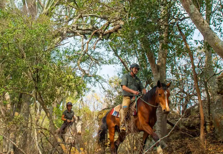 Horse Riding